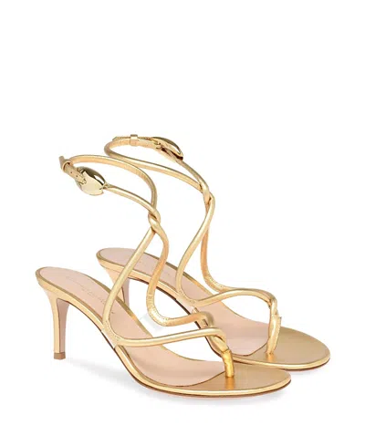 Gianvito Rossi Women's Jungle Mamba 70 T. Sandals In Gold