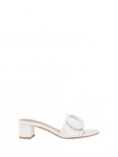 Gianvito Rossi Women's Leather Buckle Flat Slide Sandals In White Bian In Multi
