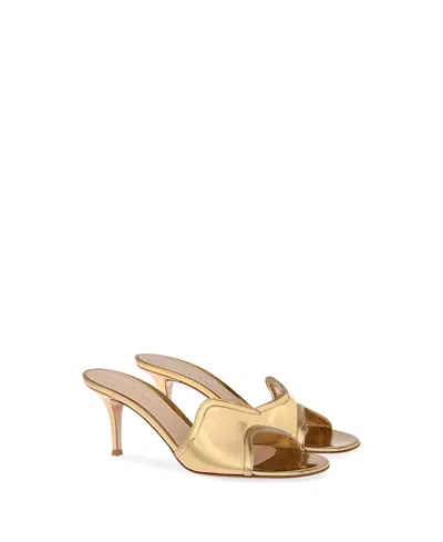 Gianvito Rossi Women's Lucrezia Mule 70 In Gold