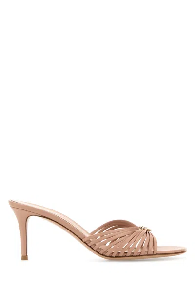 Gianvito Rossi Women Pink Leather Vyna Mules