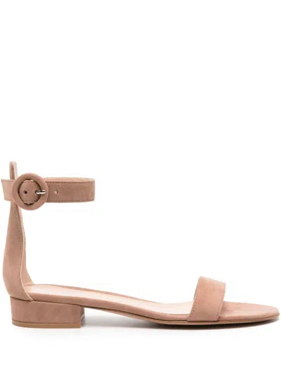 Gianvito Rossi Women Portofino Suede Decollete In Brown