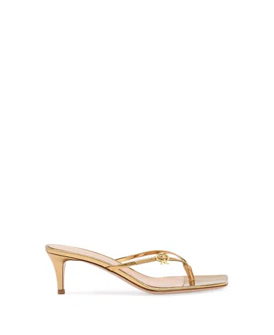 Gianvito Rossi Shanti Thong 70 Embellished Sandals In Gold