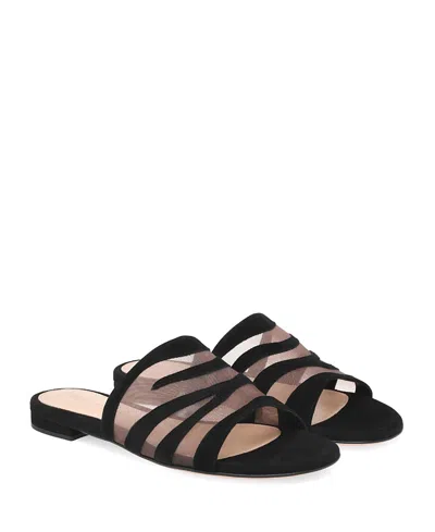 Gianvito Rossi Women's Tigra Sandals In Black