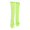Gianvito Rossi Lace Gloves In Green