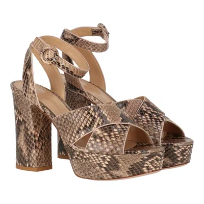 Gianvito Rossi Womens Pink Sandal