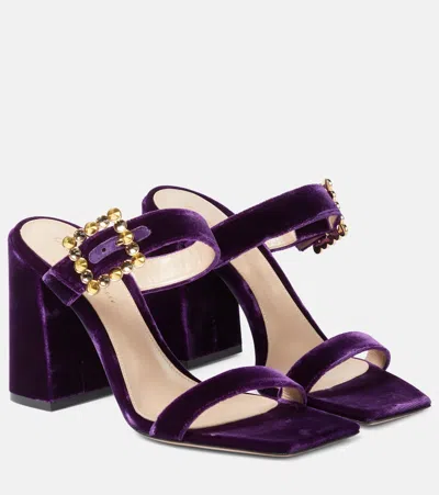 Gianvito Rossi Velvet Mules In Purple