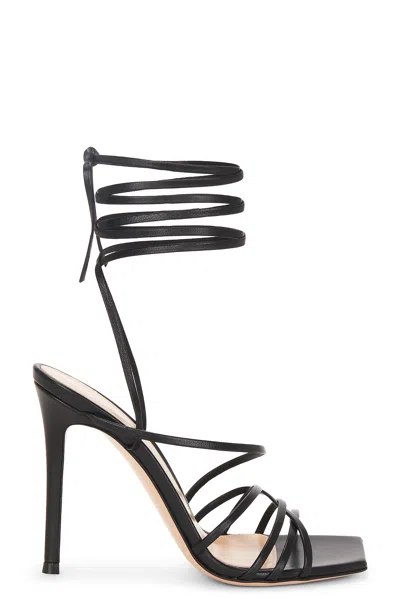 Gianvito Rossi Wrap Sandal In Black