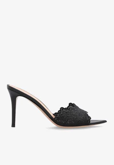 Gianvito Rossi Yvone 85 Lace Mules In Black