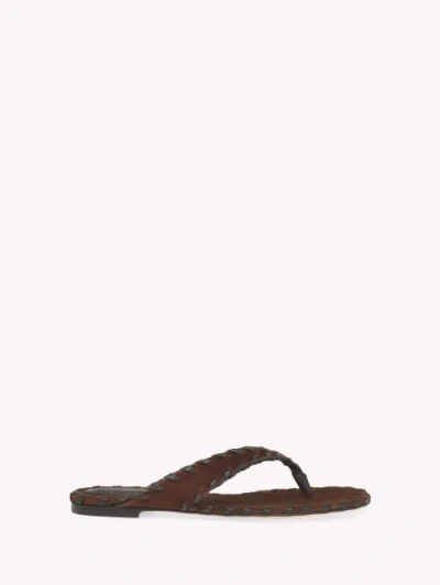 Gianvito Rossi Zaira Thong Flat Sandal In Brown