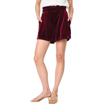 Gibsonlook Velvet Shorts In Burgundy