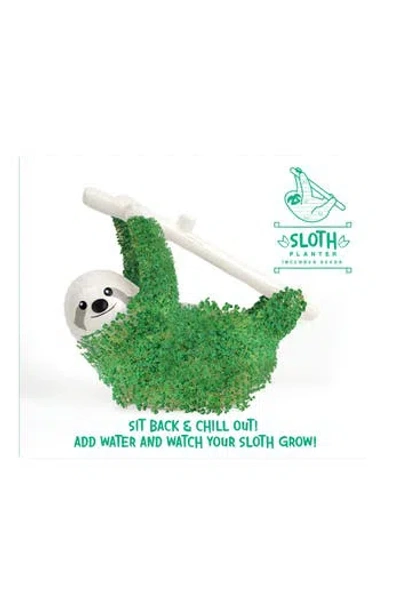 Gift Republic Sloth Chia Planter In Transparent