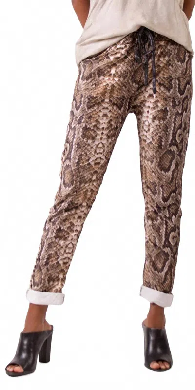 Gigi Moda Snake Print Tie-waist Pants In Taupe In Metallic