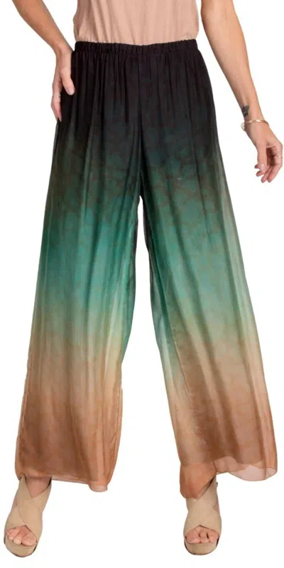 Gigi Moda Tartaruga Silk Pants In Black In Multi