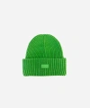 Gigi Pip Gigi Merino Wool Chunky Ribbed Beanie In Evergreen