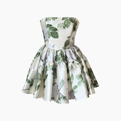 Gigii's Women's Solares Dress In Gray