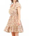 Gigio Fit N Flare Ruffles Dress In Chiffon Print In Multi