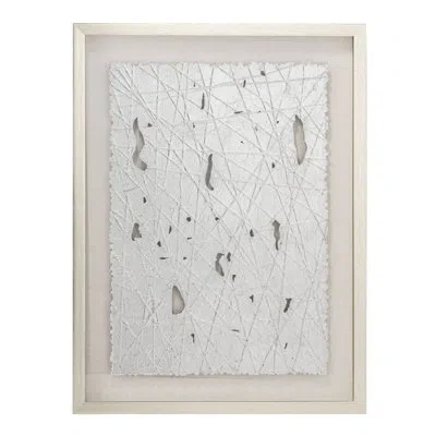 Gild Lustrous Beauty, Shadow Box Wall Décor In Silver