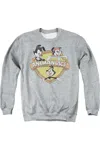 Gildan Animaniacs Shielded Animaniacs Adult Crewneck Sweatshirt In Multi