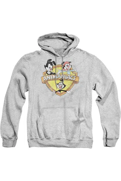 Gildan Animaniacs Shielded Animaniacs Adult Pull Over Hoodie / Hooded Sweatshirt In Multi
