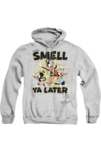 Gildan Animaniacs Smell Ya Later Adult Pull Over Hoodie / Hooded Sweatshirt In Multi