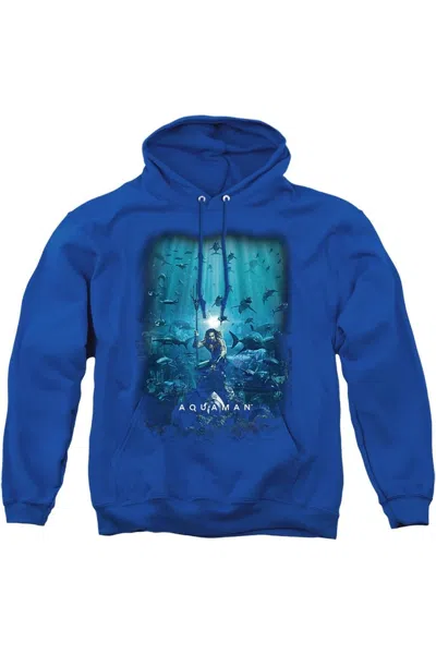 Gildan Aquaman Movie Poster Adult Pull Over Hoodie / Hooded Sweatshirt In Black
