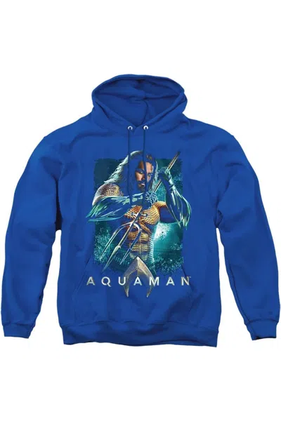 Gildan Aquaman Movie Trident Adult Pull Over Hoodie / Hooded Sweatshirt In Black