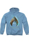 Gildan Aquaman Movie Water Shield Adult Pull Over Hoodie / Hooded Sweatshirt In Pink