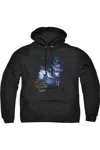 Gildan Batman Arkham Asylum Arkham Killer Croc Adult Pull Over Hoodie / Hooded Sweatshirt In Black