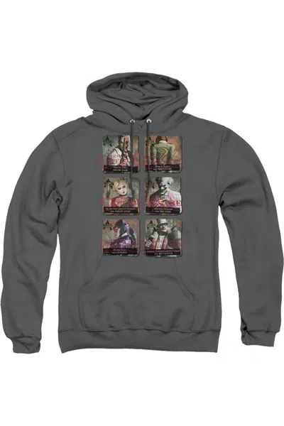 Gildan Batman Arkham City Arkham Lineup Adult Pull Over Hoodie / Hooded Sweatshirt In Pink
