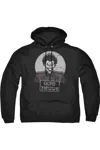 Gildan Batman Busted! Adult Pull Over Hoodie / Hooded Sweatshirt In Black
