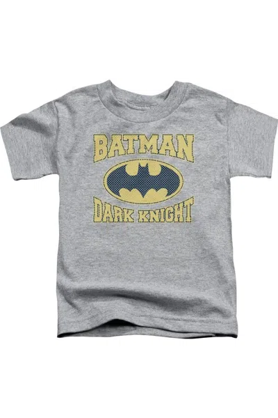 Gildan Kids' Batman Dark Knight Jersey Short Sleeve Toddler Tee / T-shirt In Gray
