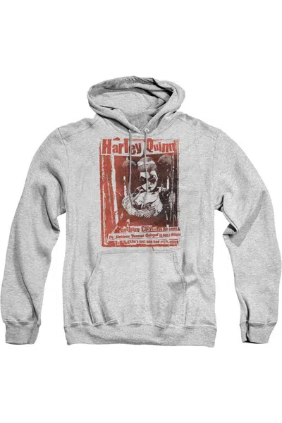 Gildan Batman Dr Quinn Adult Pull Over Hoodie / Hooded Sweatshirt In Multi