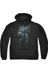 Gildan Batman Dynamic Duo Adult Pull Over Hoodie / Hooded Sweatshirt In Black