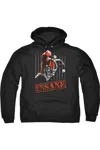 Gildan Batman Insane Adult Pull Over Hoodie / Hooded Sweatshirt In Black