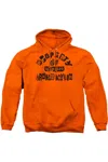 Gildan Batman Property Of Arkham Adult Pull Over Hoodie / Hooded Sweatshirt In Orange