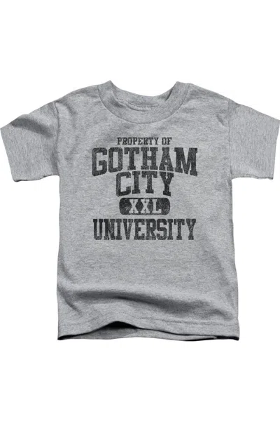 Gildan Kids' Superman Property Of Metropolis University Short Sleeve Juvenile Tee / T-shirt In Gray