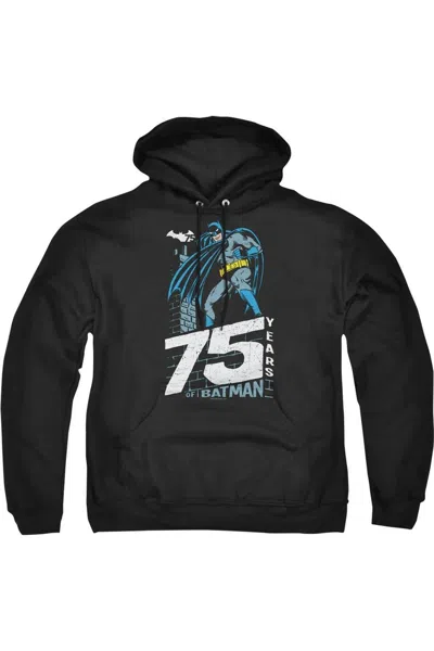 Gildan Batman Rooftop Adult Pull Over Hoodie / Hooded Sweatshirt In Black