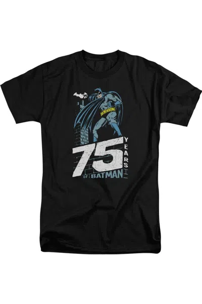 Gildan Batman Rooftop Short Sleeve Adult Tall Tee / T-shirt In Multi