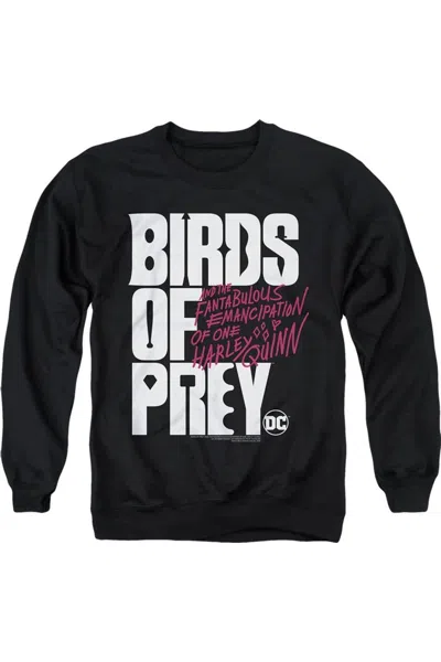 Gildan Birds Of Prey Birds Of Prey Logo Adult Crewneck Sweatshirt In Black