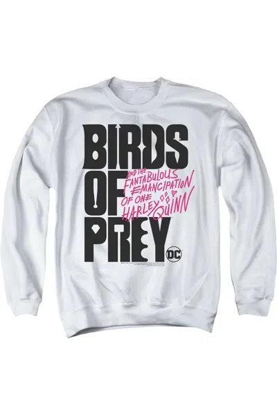 Gildan Birds Of Prey Birds Of Prey Logo Adult Crewneck Sweatshirt In White