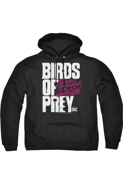 Gildan Birds Of Prey Birds Of Prey Logo Adult Pull Over Hoodie / Hooded Sweatshirt In Black