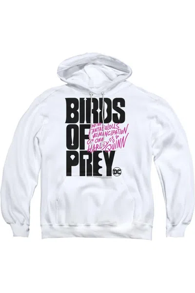 Gildan Birds Of Prey Birds Of Prey Logo Adult Pull Over Hoodie / Hooded Sweatshirt In White