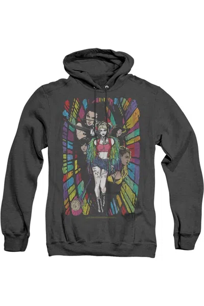 Gildan Birds Of Prey Color Corridor Adult Heather Hoodie / Hooded Sweatshirt In Black