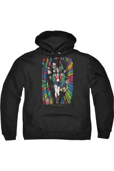 Gildan Birds Of Prey Color Corridor Adult Pull Over Hoodie / Hooded Sweatshirt In Black