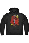 Gildan Birds Of Prey Harleymania Adult Pull Over Hoodie / Hooded Sweatshirt In Black
