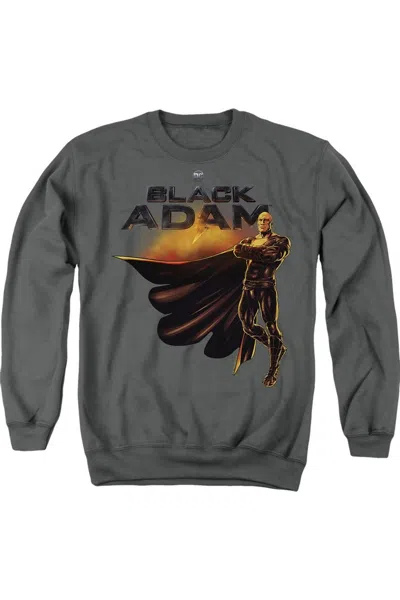Gildan Black Adam Black Adam Logo With Character Adult Crewneck Sweatshirt In Pink