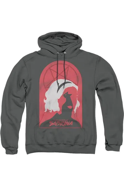 Gildan Chilling Adventures Of Sabrina Sabrina And Salem Adult Pull Over Hoodie / Hooded Sweatshirt In Pink