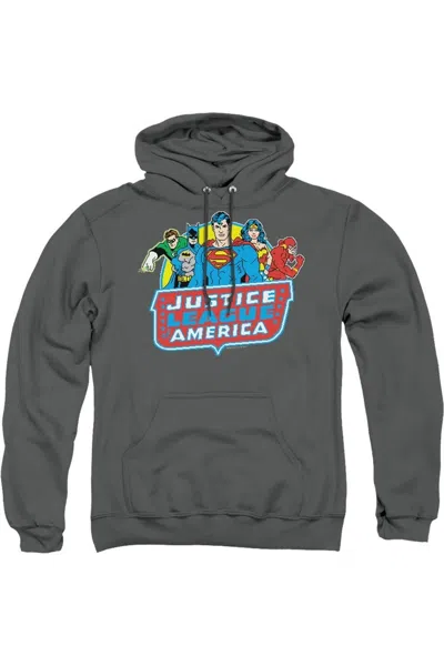 Gildan Dc Comics 8 Bit League Adult Pull Over Hoodie / Hooded Sweatshirt In Gray