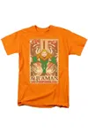 Gildan Dc Comics Aquaman Aquaman Short Sleeve Adult Tee / T-shirt In Orange
