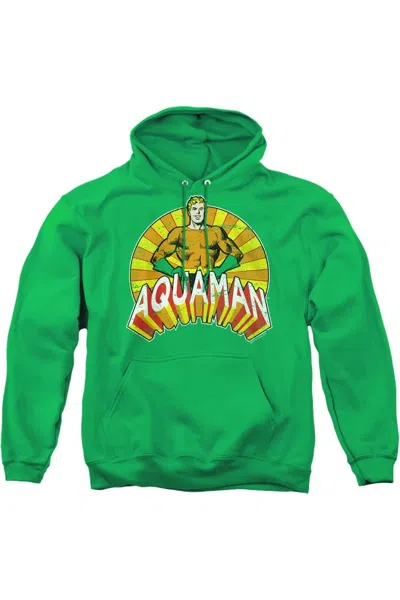 Gildan Dc Comics Arms Akimbo Adult Pull Over Hoodie / Hooded Sweatshirt In Green